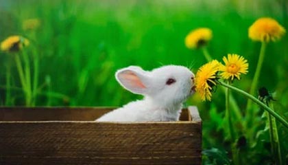 很多朋友都在KVB来自做贵金属的投资